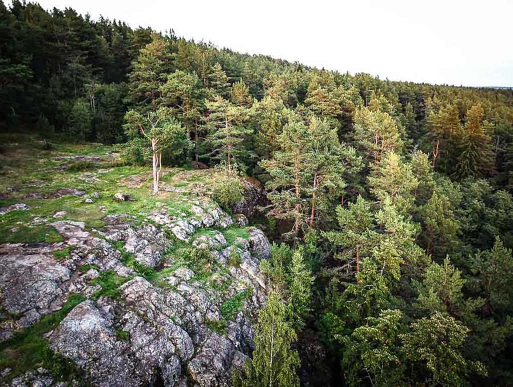 Царевичи карелия карта